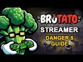 Brotato Streamer DANGER 5 GUIDE