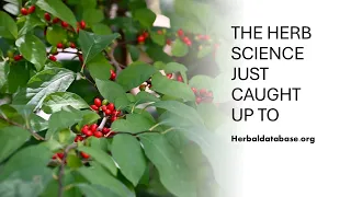 The 2020 Study That Finally Explains Spicebush