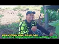 Download Lagu Mas nyoman asal pulau bali calon tetangganya mas hendrik dan mas ari ditransmigrasi kalimantan
