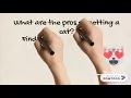 Pros and Cons Definition