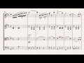 Potter Waltz - Harry Potter and the Goblet Of Fire - Patrick Doyle (For String Quartet)