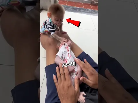 القرد  غيران من صاحبه🥹💔