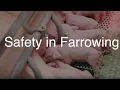 Safety in Farrowing