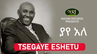 Tsegaye Eshetu Yaye Ale ፀጋዬ እሸቱ ያየ አለ Ethiopian Music 