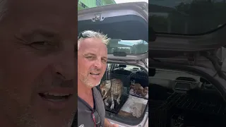 Helping our Exuma Friends – NEW PUPPIES #exumafriends #barefoottravels