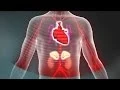 Download Lagu Toxic Stress Derails Healthy Development