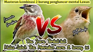 Download MASTERAN KOMBINASI 2 JENIS BURUNG BERSUARA EMAS‼️ untuk isian burung juara. MP3