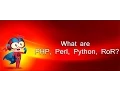 What are PHP Perl Python and Ruby on Rails