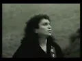 el tri pobre soñador (video oficial)