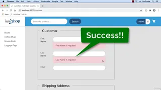 005 Angular Project Checkout Form Display Validation Error Messages continued 205