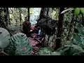 Building a Tree Shelter, Wild Vegetables with Kapurung, Bushcraft Survival