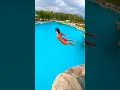 Download Lagu Different animals cliff diving styles in #bluetreephuket