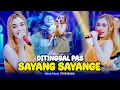 Download Lagu Ajeng Febria - Ditinggal Pas Sayang Sayange (Official Live Music) NIRWANA COMEBACK | STAR MUSIC