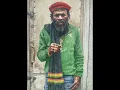 Prince Far I - Black Starliner Must Come & Leigh Dread's Dub Version