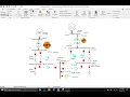 ECE 411 Project