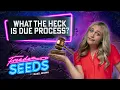 What the HECK is due process