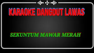 Download SEKUNTUM MAWAR MERAH - karaoke dangdut lawas versi remix MP3