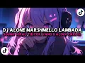 Download Lagu DJ ALONE MARSHMELLO LAMBADA REMIX‼️DJ FYP TIK TOK TERBABARU 2025 VIRAL