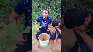 لما تزرع فلوس الدولار وتطلع شجرة كبيرة فيها دولارات كتير بقيت أغنى واحد في العالم 