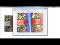 Project Topics on Image Processing Thesis Topics on Image Processing