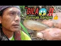 Download Lagu Nggak Nyangka‼️ Sekali Bongkar Jerami Langsung Dapat Banyak Belut di Sawah 😱🔥”