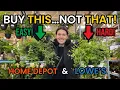BUY THIS NOT THAT Easy Houseplants to Buy at Lowe s Home Depot - Best Worst Indoor Plants