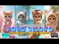 Download Lagu POPO APASIH POPO POPO SILOYO VERSI KUCING LUCU TERBARU