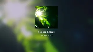Usiku Tamu 