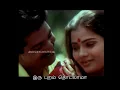 Rettai Kiligal Andradam - 2nd Saranam - Lyrics - Ilayaraja WhatsApp Status