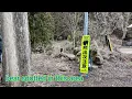 Jigokudani Monkey Park at Yamanouchi Nagano how to get there descr below