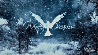 Mflex Sounds Winter Dreams 