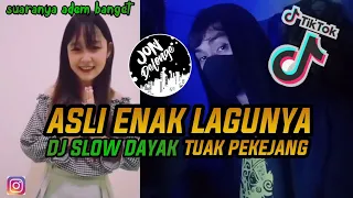 Download ASLI ENAK BANGET LAGUNYA \ MP3