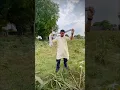 Download Lagu Full Farming 🧺 in one short video 🌾||  bapu zimidar jassi gill #shorts
