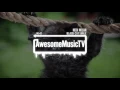 Nick Nolan - Black Cat Smile (Garage Blues 2016)