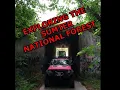 Sumter national forest