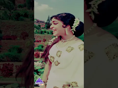 பன்னீரில் மெல்ல | Kannukku Theriyada Song | En Annan Movie | Muthuraman | Vijaya Nirmala |#YTShorts