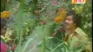 nalini hot rain song