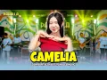 Lagu CAMELIA | Zahra Pitaloka | Pahalla Music Official