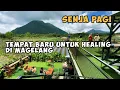 Download Lagu WISATA MAGELANG TERBARU - SENJA PAGI - NGOPI DENGAN PEMANDANGAN 6 GUNUNG
