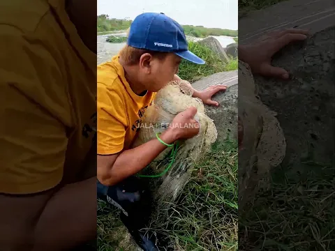 JALA IKAN DI SUNGAI SETELAH BANJIR #SHORTS #JALAPETUALANG