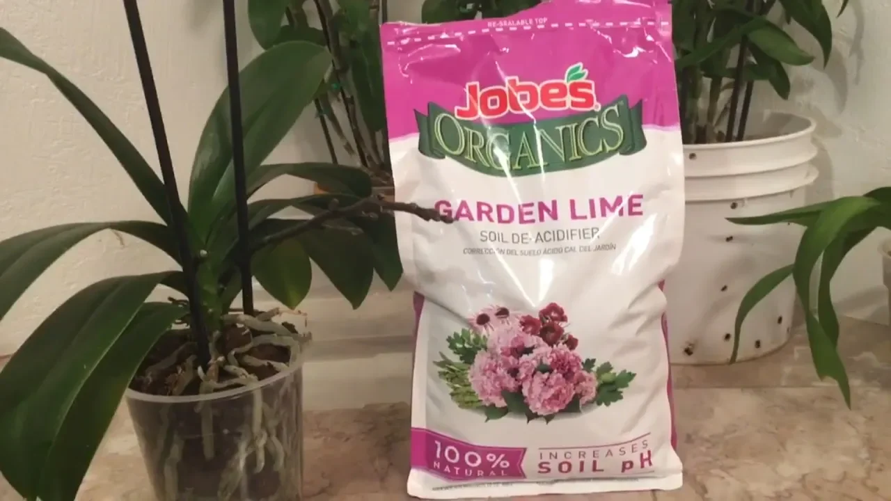 ESTO HARÁ QUE TU ORQUIDEA FLOREZCA Y CRESCA COMO NUNCA ANTES CALCIO Y MAGNECIO GARDEN LIME