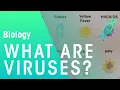 What are viruses Cells Biology FuseSchool