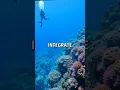 Advanced Code Splitting in React with Dynamic Imports