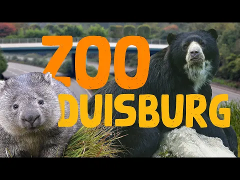 Download MP3 Zoo Duisburg | Zoo Eindruck