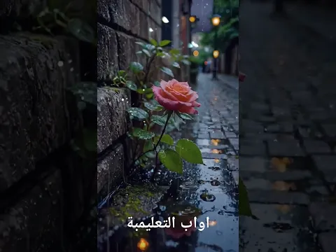 2 mai 2025