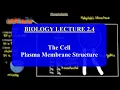IMAT Biology Lesson 2 4 The Cell Plasma Membrane Structure