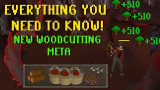 New FASTEST WAY to 99 WC Blood-Wood Cutting Seeker Arrows Guide
