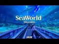 The ABSOLUTE GUIDE To SeaWorld Orlando 2026