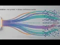 Isolated data point to a high-dimensional architecture of meaning