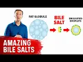 The 9 Benefits of Bile Salts